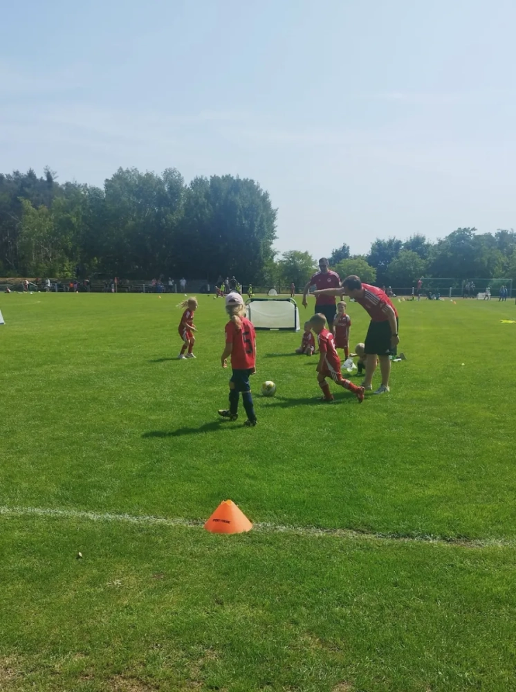 878f186a-a542-4f4d-929b-ae605be632a0