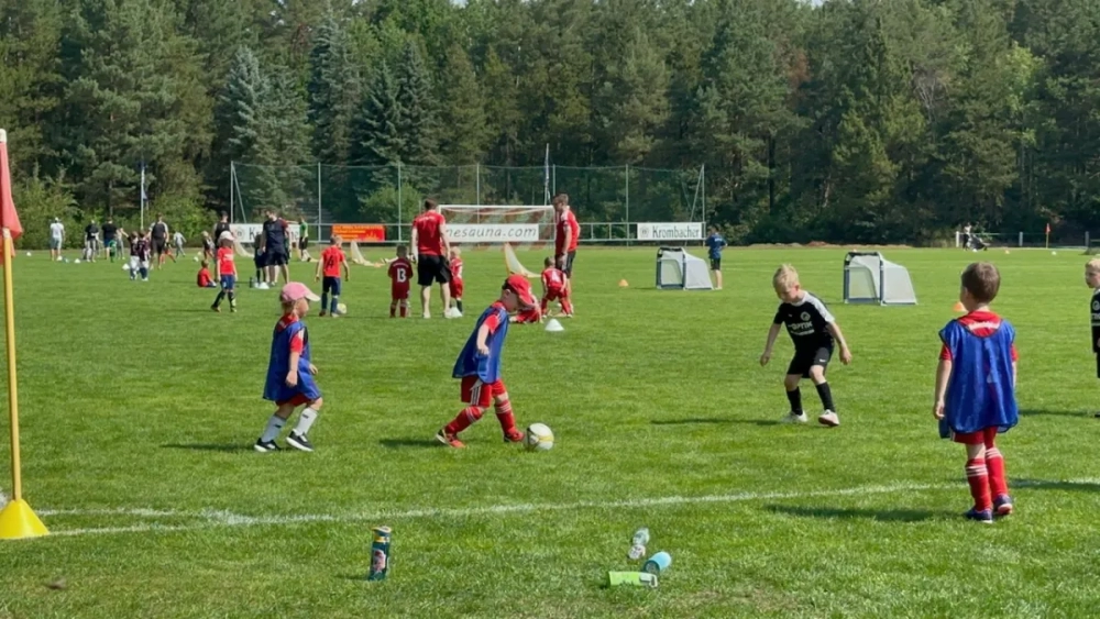 d91fd20d-2851-4449-afd9-0b3e1f6b7ed8